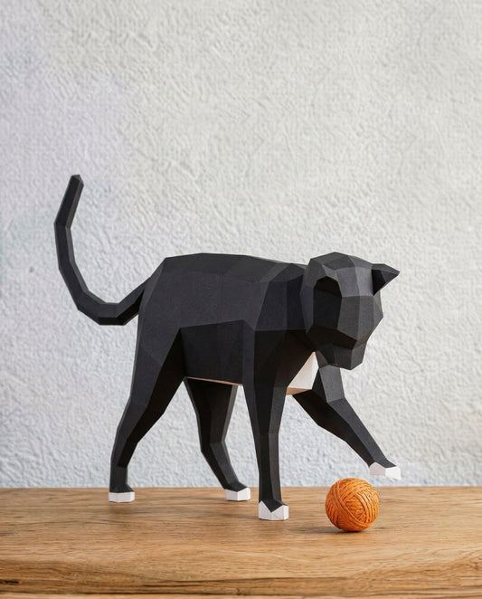 YSY AKROBAT - Meraklı Kedi