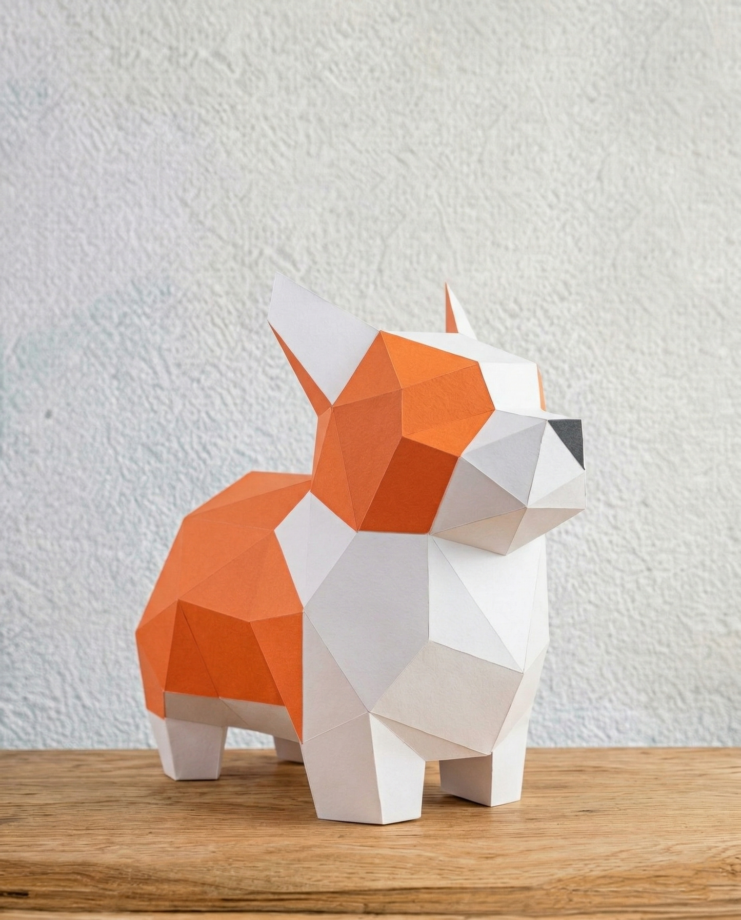YSY AKROBAT - Sevimli Corgi