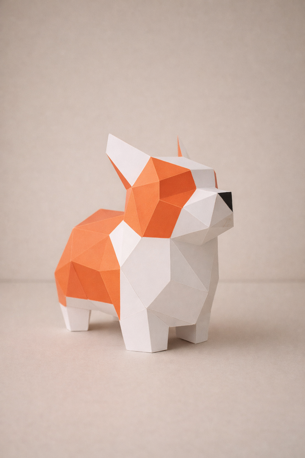 YSY AKROBAT - Sevimli Corgi