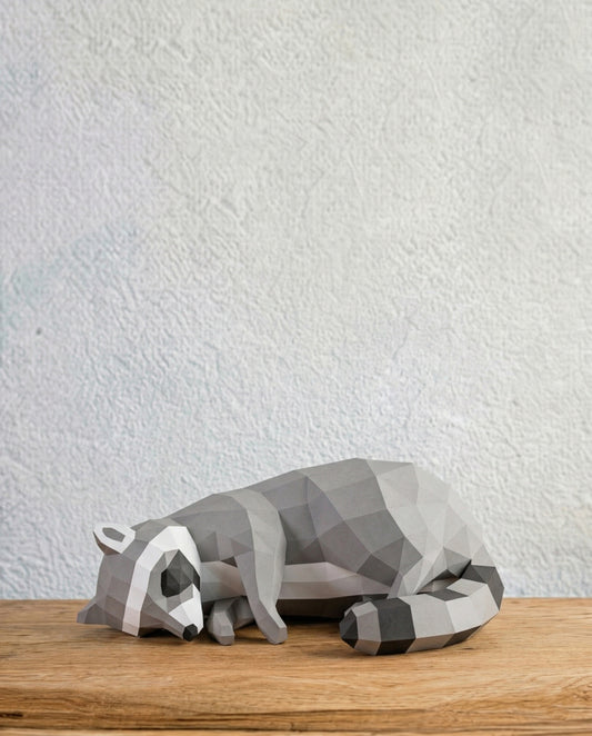 YSY AKROBAT - Uyuyan Rakun